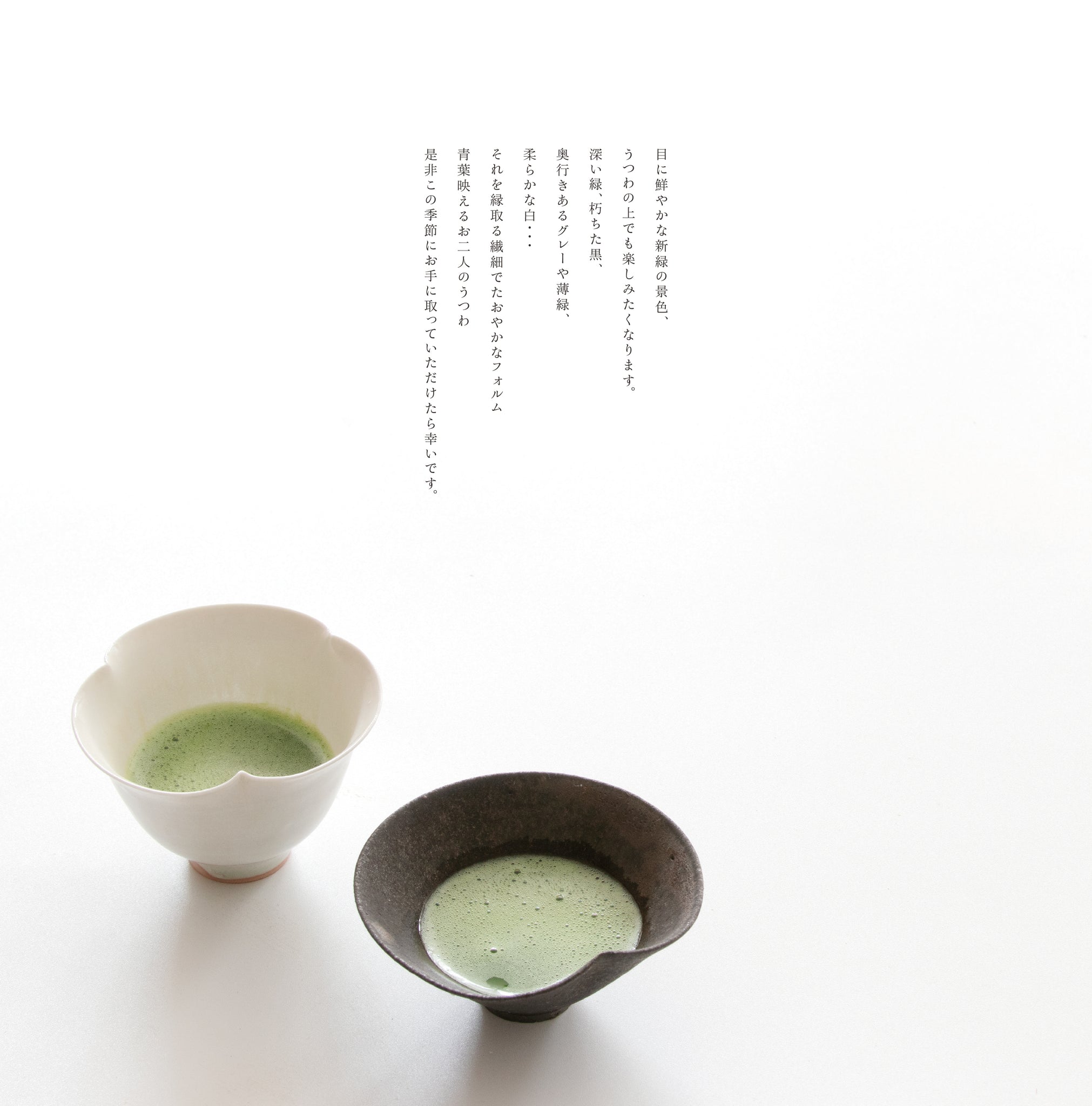 <次回企画展> 黒木泰等・高田志保 展 - 青葉映える
