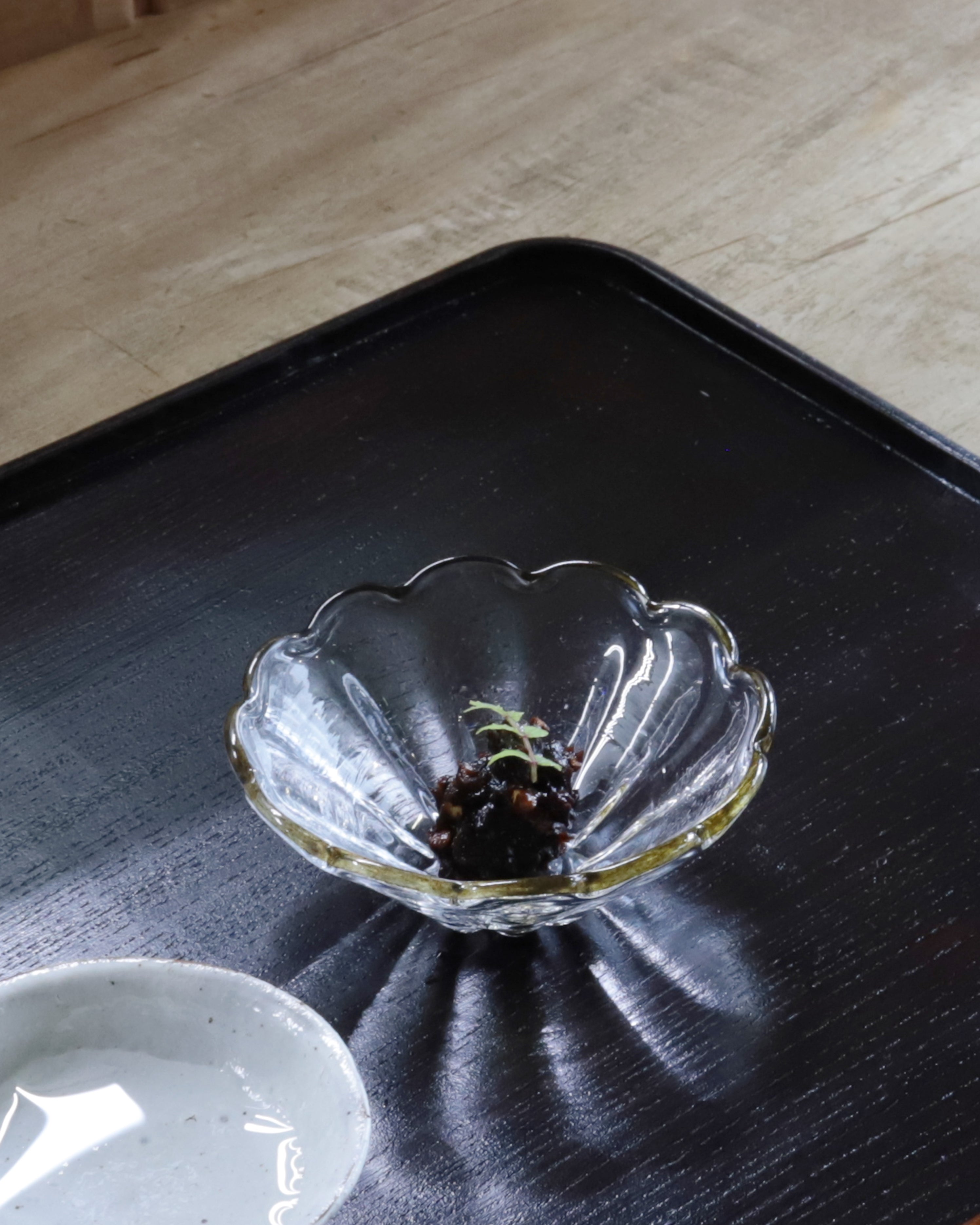 田井将博　2508 輪花豆花鉢