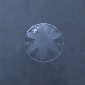 井上美樹　六花豆皿  01