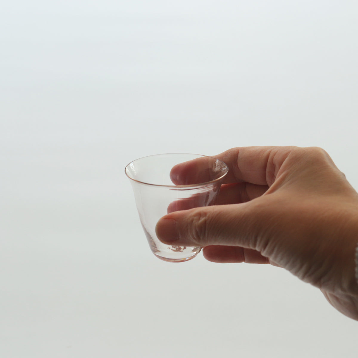 菊地大護 2529 tea cup