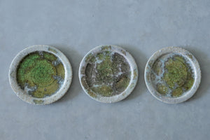 大原光一　2503 皿 (15cm) 01