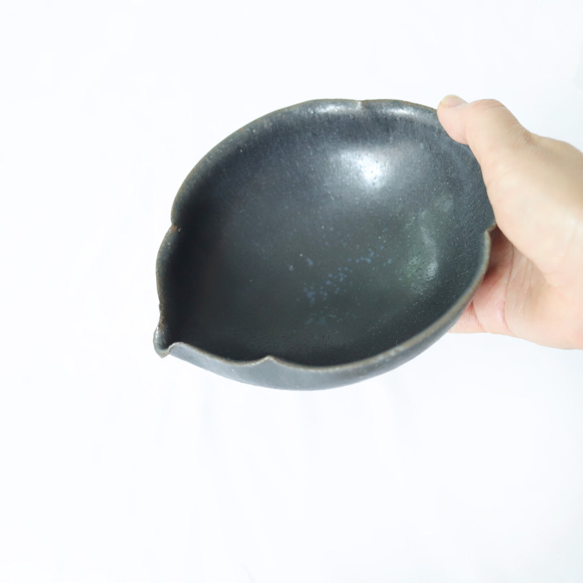 黒木泰等　黒滴釉輪花平片口
