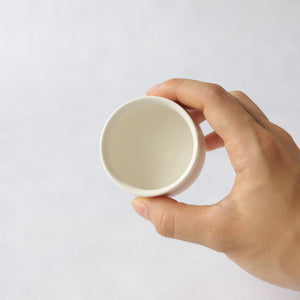 No.37 スエトシヒロ　 ホヤぐい